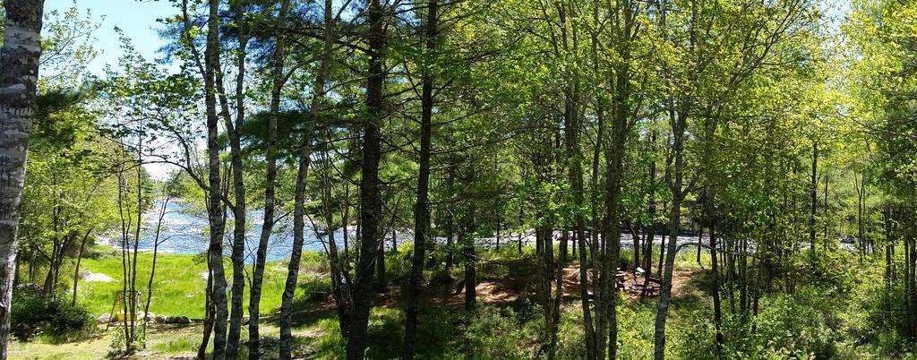 Roseway River Cottages Shelburne Exteriér fotografie