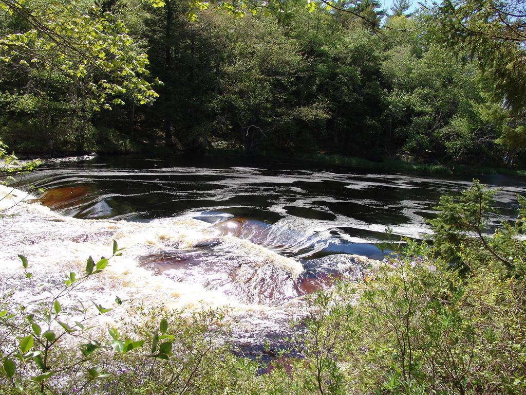 Roseway River Cottages Shelburne Exteriér fotografie