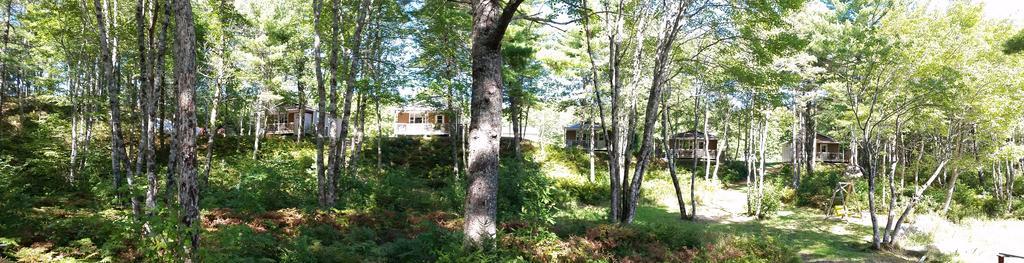 Roseway River Cottages Shelburne Exteriér fotografie