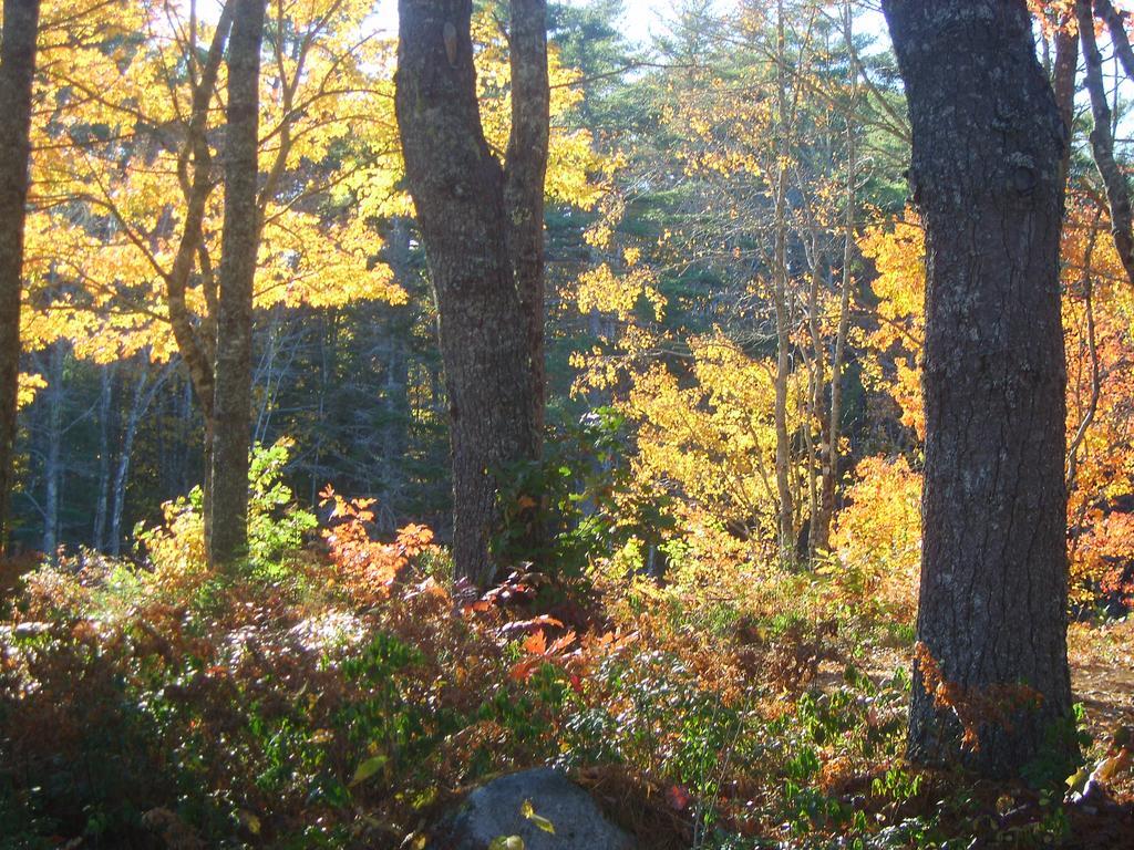 Roseway River Cottages Shelburne Exteriér fotografie