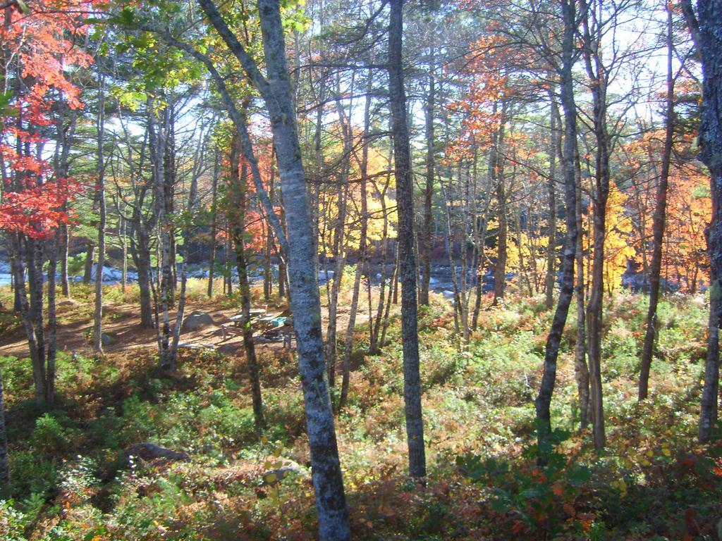 Roseway River Cottages Shelburne Exteriér fotografie