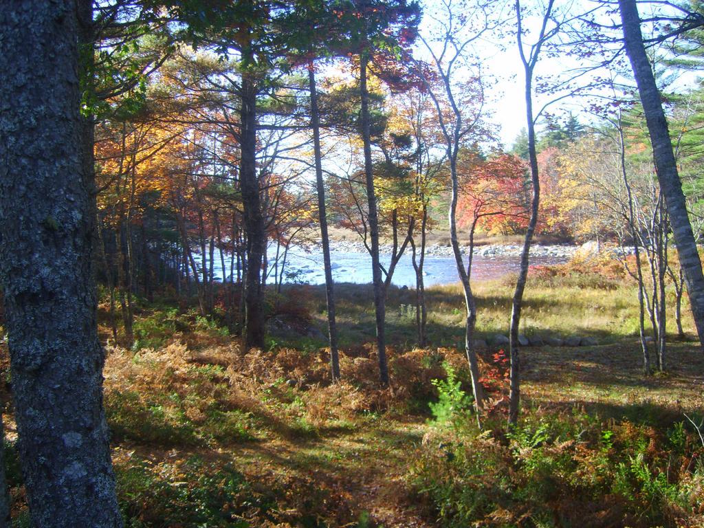 Roseway River Cottages Shelburne Exteriér fotografie