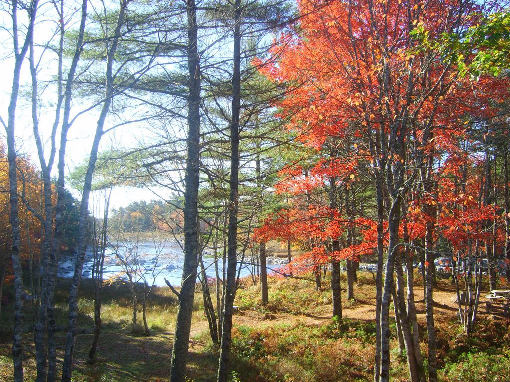 Roseway River Cottages Shelburne Exteriér fotografie