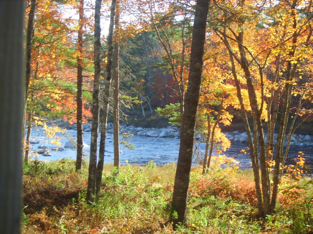 Roseway River Cottages Shelburne Exteriér fotografie