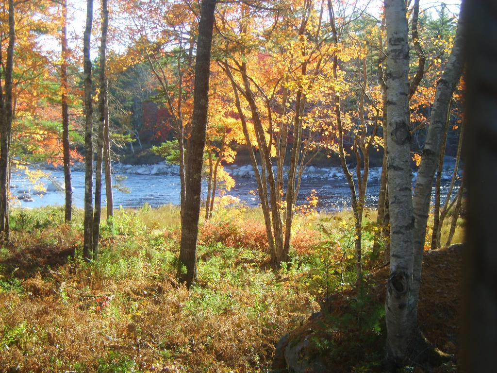 Roseway River Cottages Shelburne Exteriér fotografie