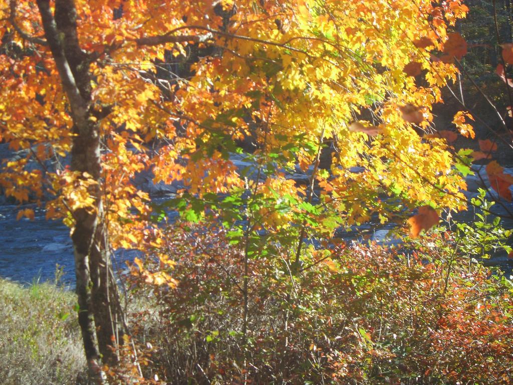 Roseway River Cottages Shelburne Exteriér fotografie