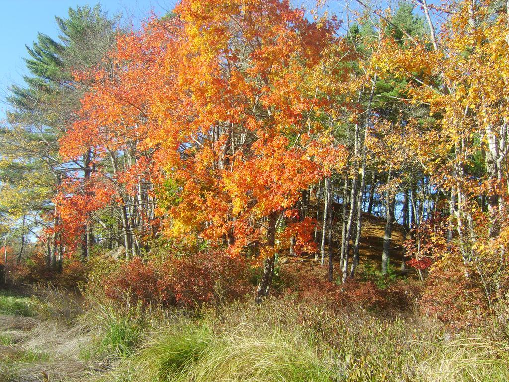 Roseway River Cottages Shelburne Exteriér fotografie