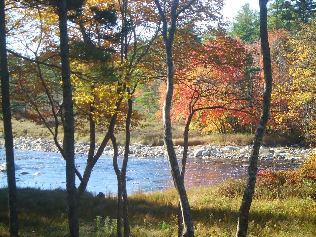 Roseway River Cottages Shelburne Exteriér fotografie