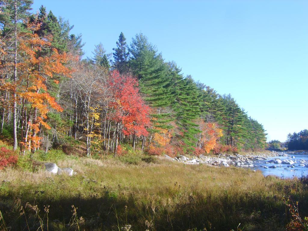 Roseway River Cottages Shelburne Exteriér fotografie