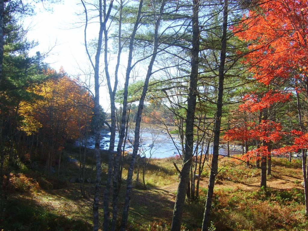 Roseway River Cottages Shelburne Exteriér fotografie