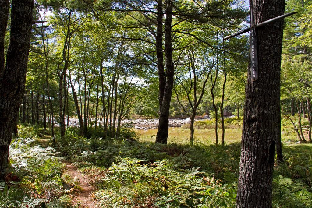 Roseway River Cottages Shelburne Exteriér fotografie